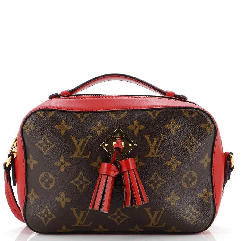 Saintonge Handbag Monogram Canvas with Leather