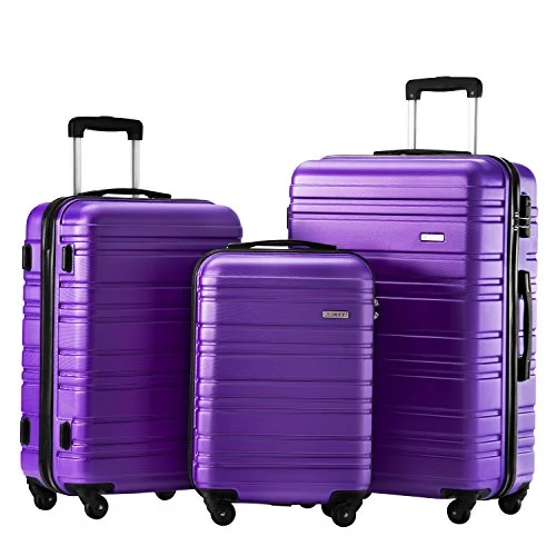 Luggage Set 3 Piece Set Suitcase Set Spinner Hard Shell Lightweight (Purple)